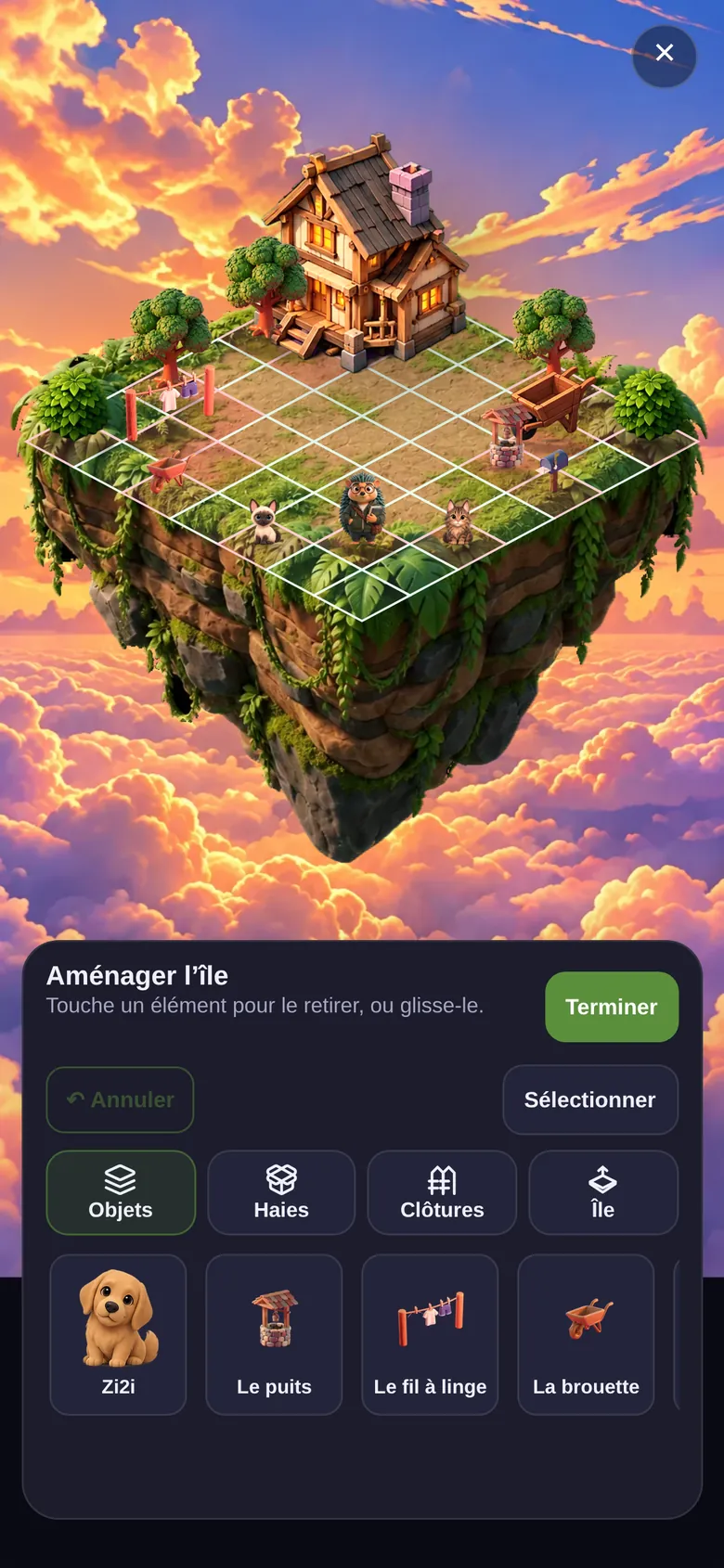 L'aménagement de l'île
