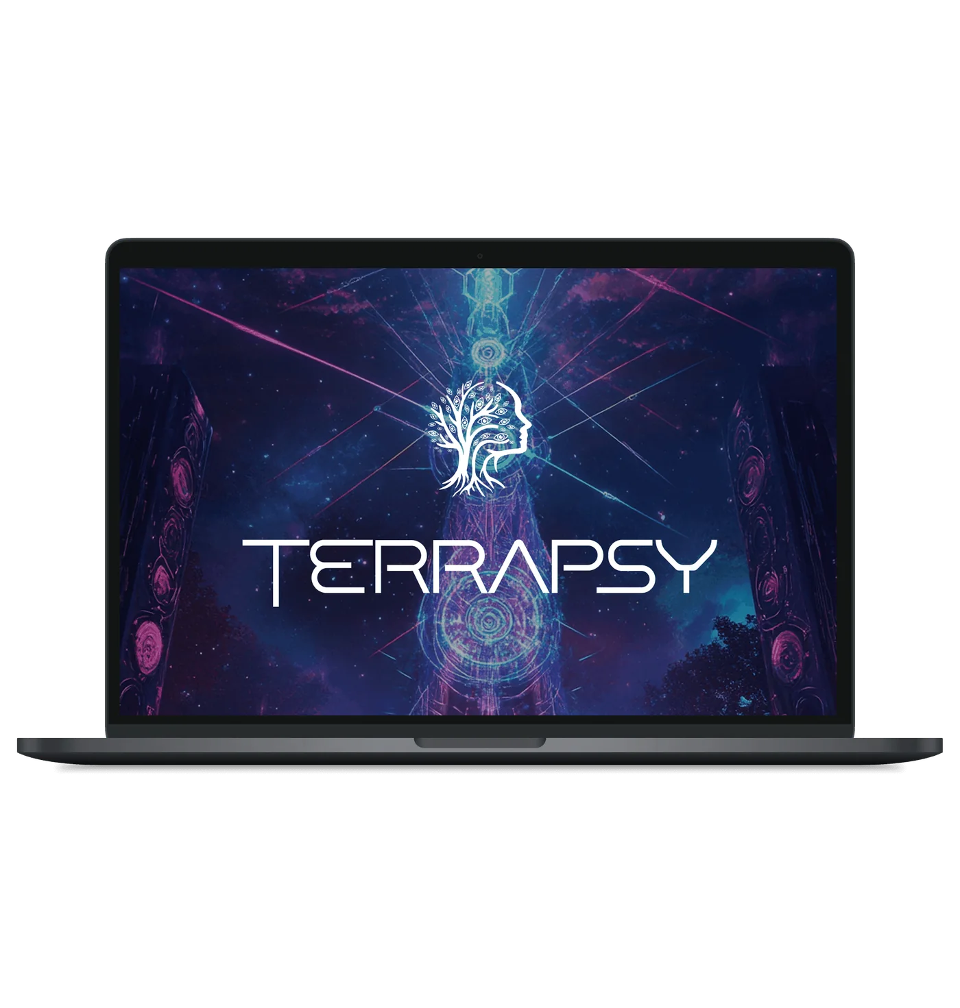 Terrapsy Case Study